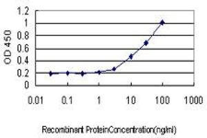 Detection limit for recombinant GST tagged HHEX is approximately 0. (HHEX 抗体  (AA 1-270))