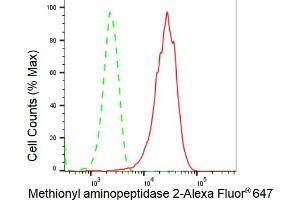 Flow cytometric analysis of Methionyl aminopeptidase 2 expression in HepG2 cells using Methionyl aminopeptidase 2 antibody (ABIN7799384), 1:2,000). (Recombinant METAP2 抗体)