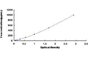 Typical standard curve (Oncostatin M ELISA 试剂盒)