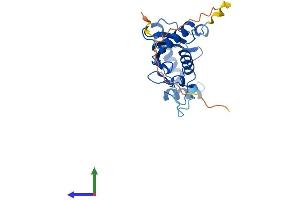 Protein Structure (PS) image for Cell Division Cycle 34 (CDC34) (AA 1-236) protein (His tag) (ABIN7555875)