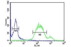Flow Cytometry (FACS) image for anti-Wingless-Type MMTV Integration Site Family, Member 5A (WNT5A) (AA 185-213) antibody (ABIN3029634)