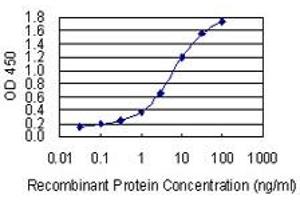 ELISA image for anti-Catenin (Cadherin-Associated Protein), delta 2 (Neural Plakophilin-Related Arm-Repeat Protein (CTNND2) (AA 1081-1190) antibody (ABIN947754)