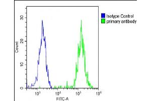 Overlay histogram showing SK-OV-3 cells stained with (ABIN656548 and ABIN2845810)(green line).