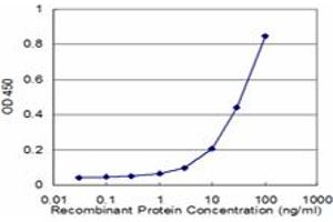 ELISA image for anti-Membrane Protein, Palmitoylated 1, 55kDa (MPP1) (AA 1-466) antibody (ABIN561843)
