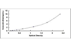 Heat Shock Protein 90kDa beta (Grp94), Member 1 (HSP90B1) ELISA Kit