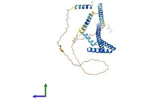 Protein Structure (PS) image for Surfeit 6 (SURF6) (AA 1-355) protein (His tag) (ABIN7556685)