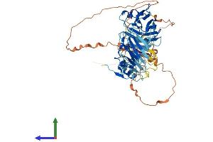 AlphaFold protein structure predicition of Human Recombinant NEURL1B Protein, UniprotID A8MQ27