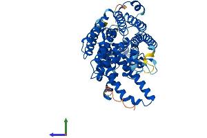 Protein Structure (PS) image for Membrane Bound O-Acyltransferase Domain Containing 1 (MBOAT1) (AA 1-492) protein (His tag) (ABIN7564354)