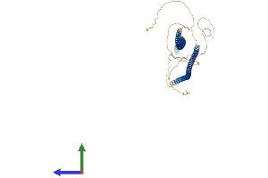 AlphaFold protein structure predicition of Human Recombinant KRT78 Protein, UniprotID Q8N1N4