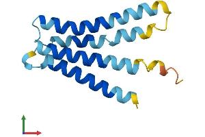 Protein Structure (PS) image for Leptin Receptor Overlapping Transcript-Like 1 (LEPROTL1) (AA 1-131) protein (His tag) (ABIN7548922)