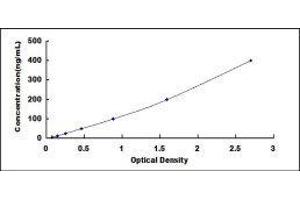 ELISA image for Complement Factor B (CFB) ELISA Kit (ABIN6720576)