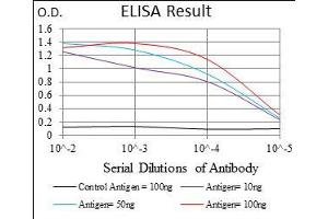 Black line: Control Antigen (100 ng), Purple line: Antigen(10 ng), Blue line: Antigen (50 ng), Red line: Antigen (100 ng), (FLT3 抗体  (AA 930-991))