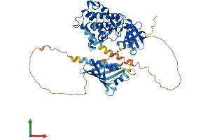 Protein Structure (PS) image for Calcium/calmodulin-Dependent Protein Kinase II gamma (CAMK2G) (AA 1-558) protein (His tag) (ABIN7554229)