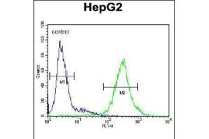 Flow cytometric analysis of HepG2 cells (right histogram) compared to a negative control cell (left histogram). (IL1RN 抗体  (C-Term))