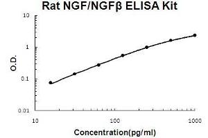 Rat NGF/NGF beta PicoKine ELISA Kit standard curve (Nerve Growth Factor ELISA 试剂盒)
