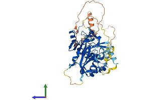 Protein Structure (PS) image for Methyltransferase Like 4 (METTL4) (AA 1-471) protein (His tag) (ABIN7557112)