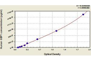 GBP1 ELISA 试剂盒