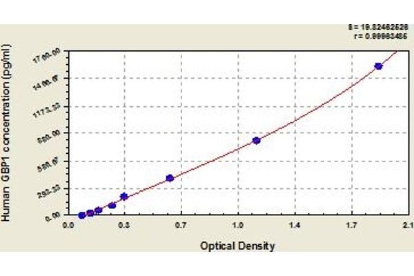 GBP1 ELISA 试剂盒