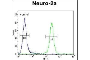 CCD Antibody (C-term) (ABIN654259 and ABIN2844079) flow cytometric analysis of Neuro-2a cells (right histogram) compared to a negative control cell (left histogram). (CEP89 抗体  (C-Term))