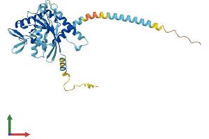 Protein Structure (PS) image for Septin 2 (SEPT2) (AA 1-361) protein (His tag) (ABIN7563239)