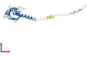 AlphaFold protein structure predicition of Human Recombinant PHLDA2 Protein, UniprotID Q53GA4