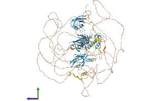 Protein Structure (PS) image for Interleukin 16 (IL16) (AA 1-1322) protein (His tag) (ABIN7562421)
