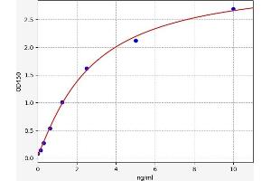 SRD5A1 ELISA 试剂盒