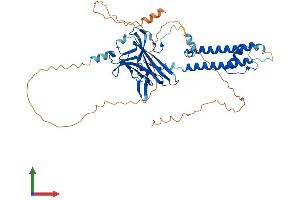 Protein Structure (PS) image for Potassium Inwardly-Rectifying Channel, Subfamily J, Member 3 (KCNJ3) (AA 1-501) protein (His tag) (ABIN7556652)