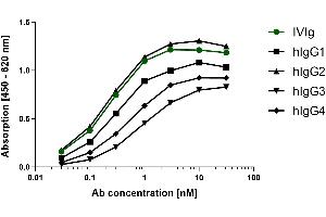 Different human IgG subclasses were coated on an ELISA plate at 100 ng. (Recombinant 小鼠 anti-人 IgG (Fc Region) Antibody)