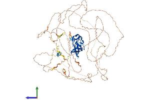 Protein Structure (PS) image for Ataxin 1 (ATXN1) (AA 1-791) protein (His tag) (ABIN7556164)