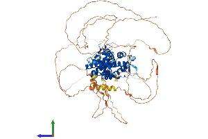 Protein Structure (PS) image for Nuclear Receptor Subfamily 3, Group C, Member 1 (Glucocorticoid Receptor) (NR3C1) (AA 1-777) protein (His tag) (ABIN7553992)