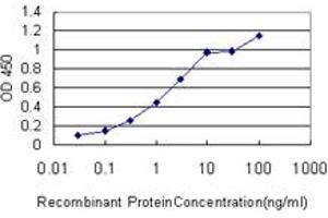 Detection limit for recombinant GST tagged FGF12 is approximately 0. (FGF12 抗体  (AA 1-181))