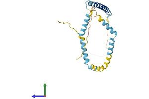AlphaFold protein structure predicition of Human Recombinant TPD52L2 Protein, UniprotID O43399