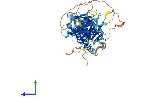 Protein Structure (PS) image for Syntrophin, alpha 1 (Dystrophin-Associated Protein A1, 59kDa, Acidic Component) (SNTA1) (AA 1-503) protein (His tag) (ABIN7557682)
