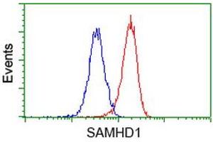 Flow cytometric Analysis of Hela cells, using anti-SAMHD1 antibody (ABIN2453908), (Red), compared to a nonspecific negative control antibody, (Blue). (SAMHD1 抗体)