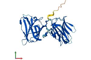 Protein Structure (PS) image for Lectin, Galactoside-Binding, Soluble, 12 (LGALS12) (AA 1-314) protein (His tag) (ABIN7559986)