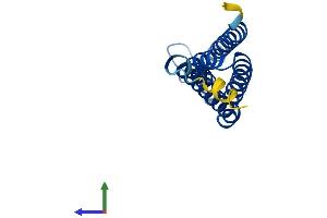 Protein Structure (PS) image for Microsomal Glutathione S-Transferase 2 (MGST2) (AA 1-147) protein (His tag) (ABIN7549354)