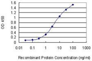 Detection limit for recombinant GST tagged UBE2K is 0. (UBE2K 抗体  (AA 1-40))