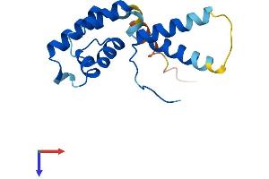 CRCP Protein (AA 1-148) (His tag)
