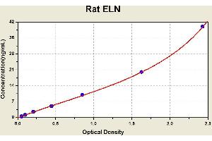 Diagramm of the ELISA kit to detect Rat ELNwith the optical density on the x-axis and the concentration on the y-axis. (Elastin ELISA 试剂盒)