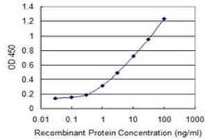 Detection limit for recombinant GST tagged SUPT16H is 0. (SUPT16H 抗体  (AA 608-715))