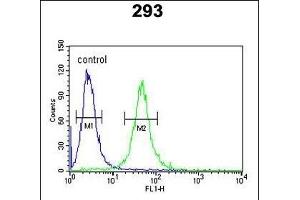 GATA2 Antibody (Center) (ABIN652243 and ABIN2841006) flow cytometric analysis of 293 cells (right histogram) compared to a negative control cell (left histogram). (GATA2 抗体  (AA 262-288))