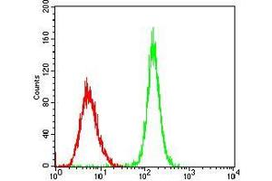 Flow Cytometry (FACS) image for anti-Period Homolog 3 (PER3) (AA 723-954) antibody (ABIN5542367)