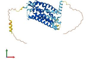 Protein Structure (PS) image for Chemokine (C-X-C Motif) Receptor 3 (CXCR3) (AA 1-368) protein (His tag) (ABIN7553600)