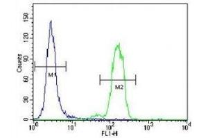 Bad antibody flow cytometric analysis of HeLa cells (right histogram) compared to a negative control (left histogram). (BAD 抗体  (AA 92-127))