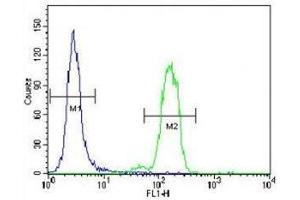 Bad antibody flow cytometric analysis of HeLa cells (right histogram) compared to a negative control (left histogram).