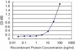 Sandwich ELISA detection sensitivity ranging from 3 ng/mL to 100 ng/mL. (ARHGDIA (人) Matched Antibody Pair)