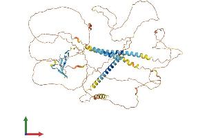 AlphaFold protein structure predicition of Human Recombinant NRG3 Protein, UniprotID P56975