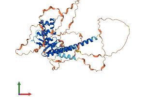 Protein Structure (PS) image for OTU Domain Containing 1 (OTUD1) (AA 1-481) protein (His tag) (ABIN7550332)