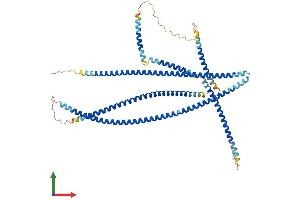 AlphaFold protein structure predicition of Human Recombinant JAKMIP1 Protein, UniprotID Q96N16